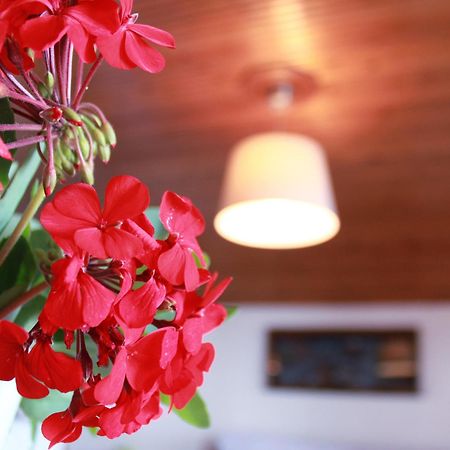 Kehagias Apartments Vrasná Eksteriør billede